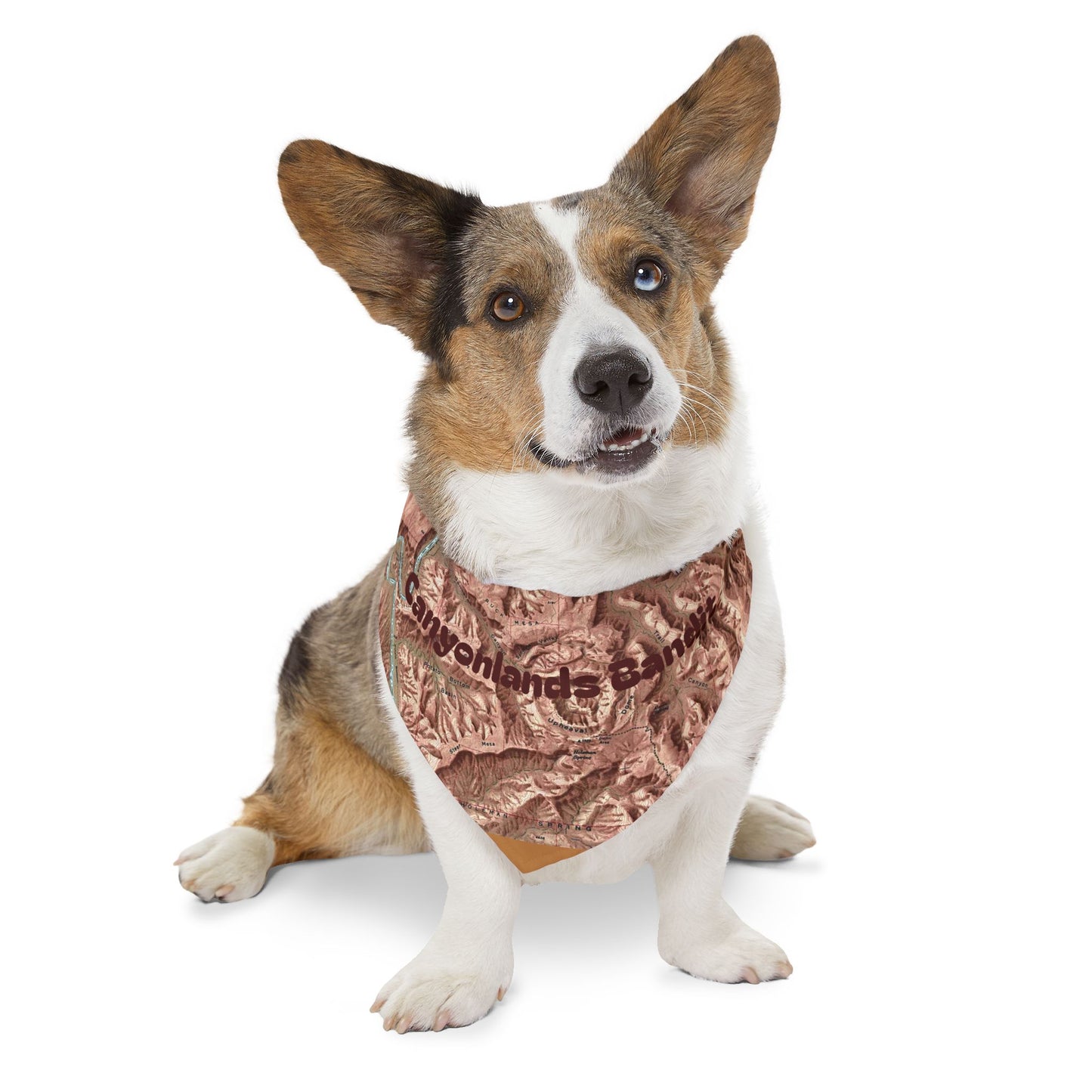 Canyonlands Relief Map Stylish Pet Bandana Collar - Perfect for Fashionable Fidos Customizable