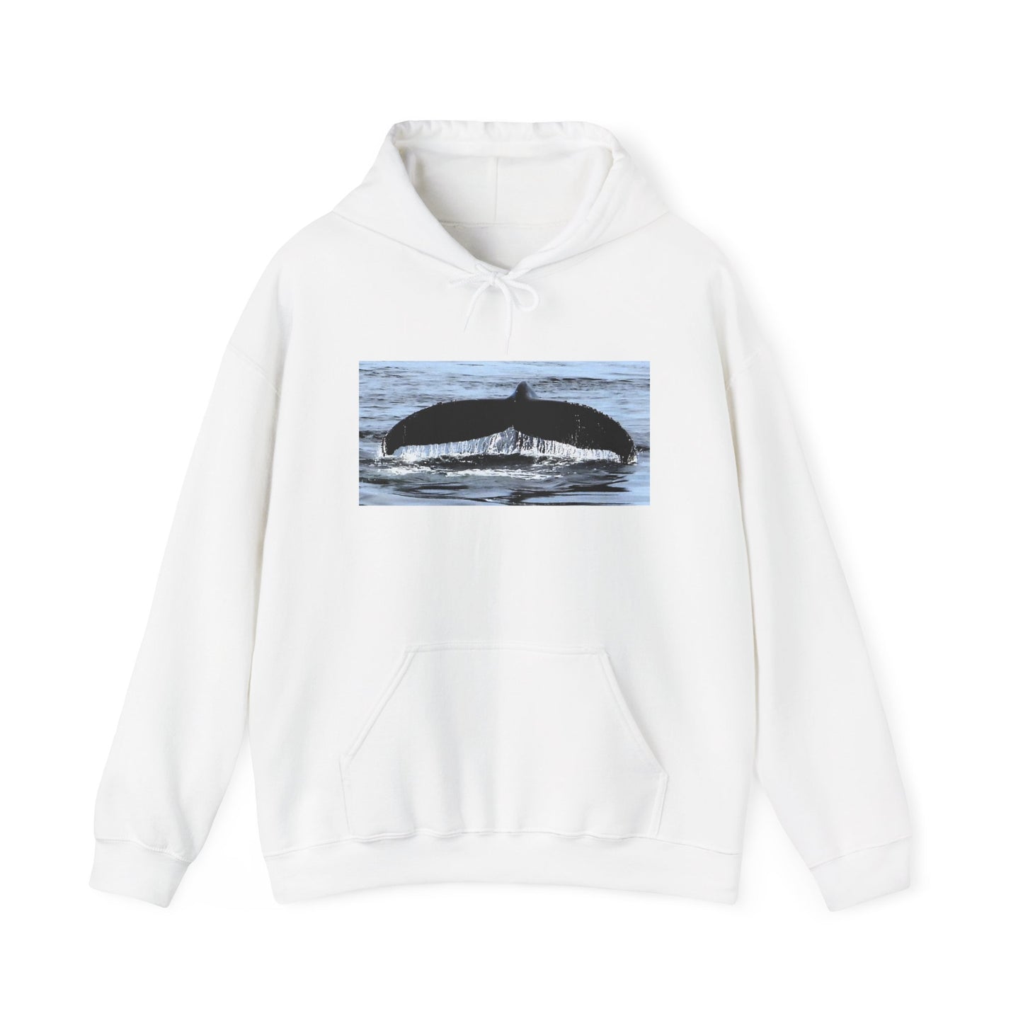 Whale Tail Graphic Unisex Hoodie – Ocean Lover Apparel