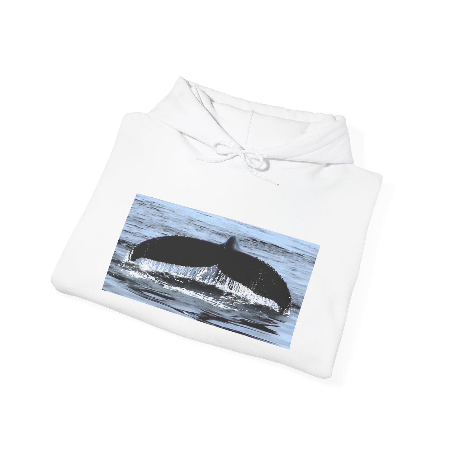Whale Tail Graphic Unisex Hoodie – Ocean Lover Apparel