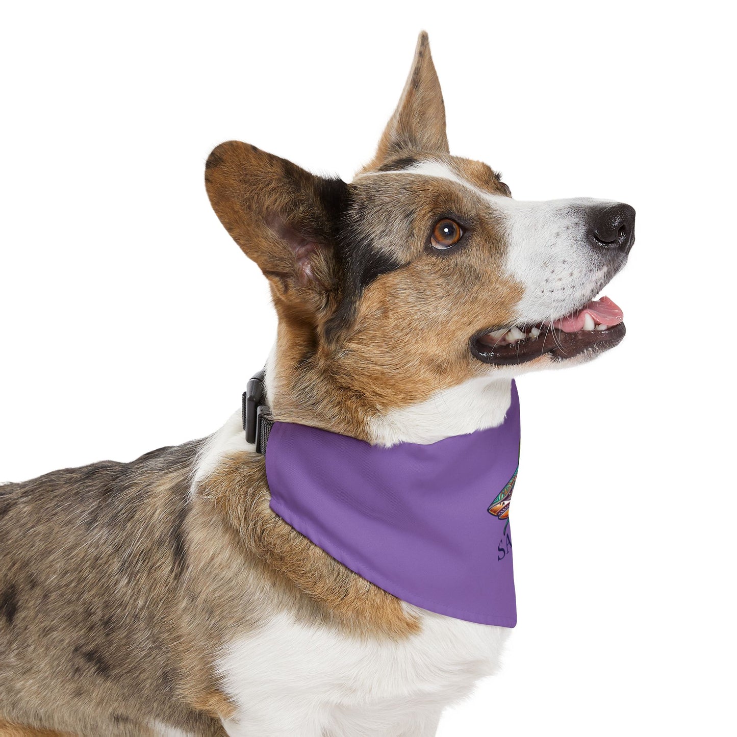 Colorful Shark Pet Bandana Collar | Fun Dog Accessory for Walks, Beach Days, Pet Parties, Summer Style, Unique Dog Gift