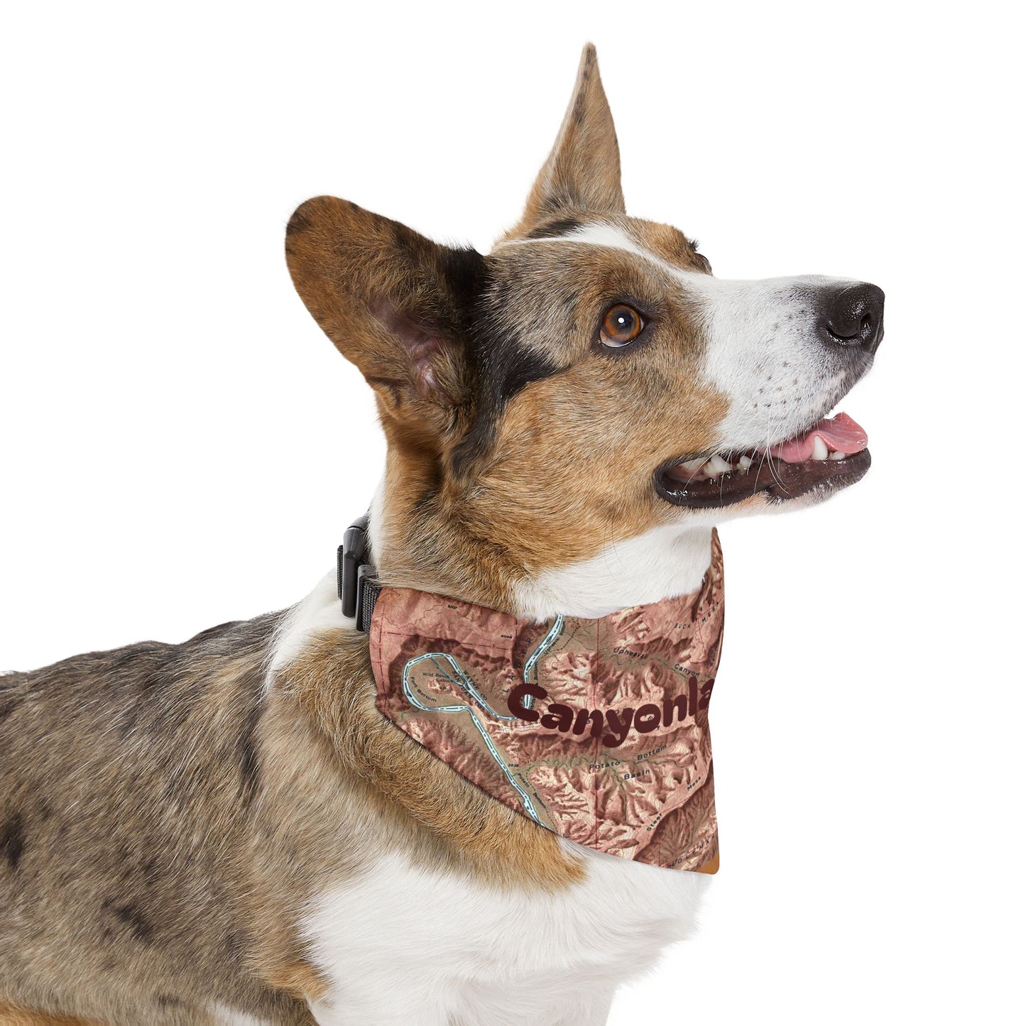 Canyonlands Relief Map Stylish Pet Bandana Collar - Perfect for Fashionable Fidos Customizable
