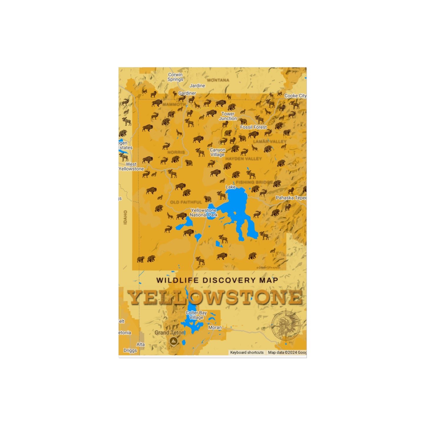 Wildlife Discovery Poster