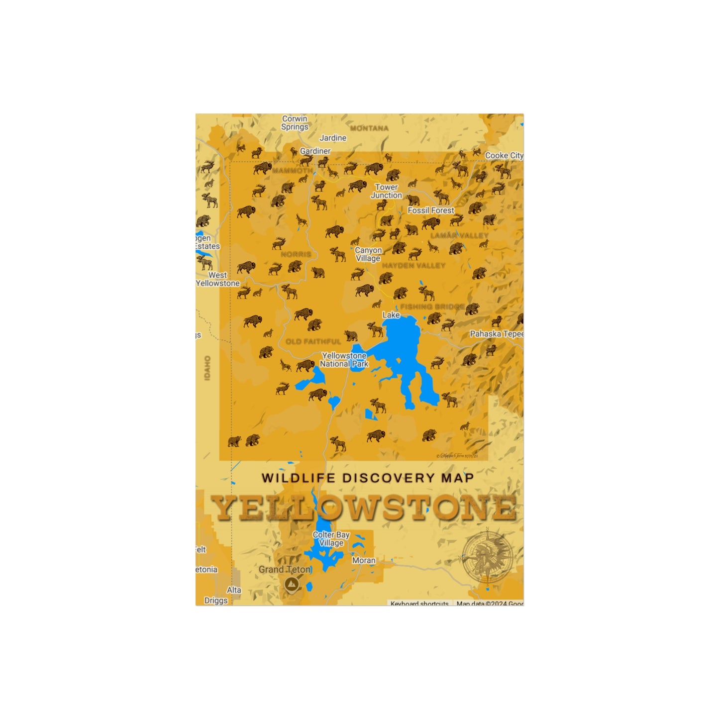 Wildlife Discovery Poster