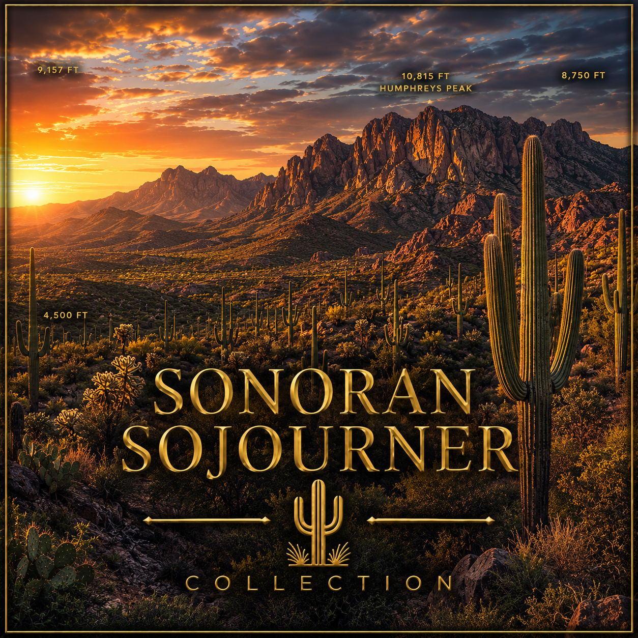 Sonoran Sojourner