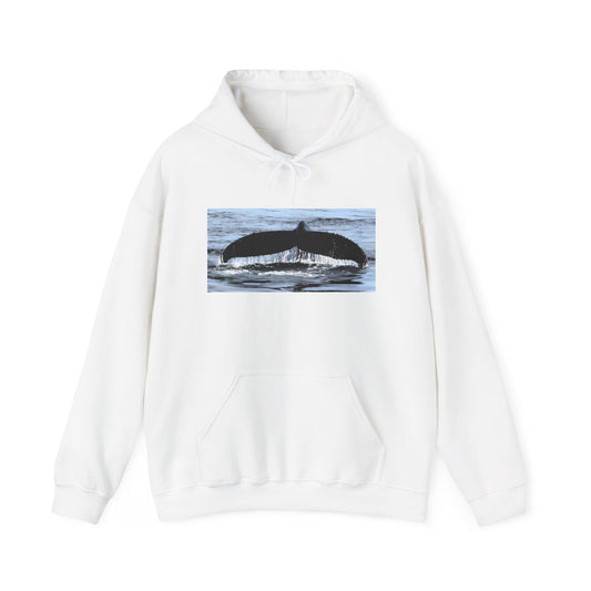 Whale Tail Graphic Unisex Hoodie – Ocean Lover Apparel